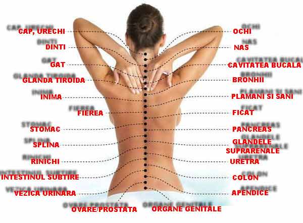 durere apăsătoare la nivelul coloanei vertebrale)