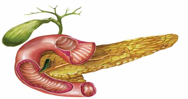 detoxifierea pancreasului natural